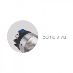 Bouton poussoir Izyx SS19B12P101